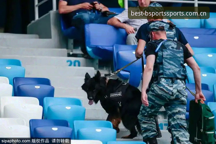 资深用户聊世界杯安保新变化：英警员锐减背后的门道