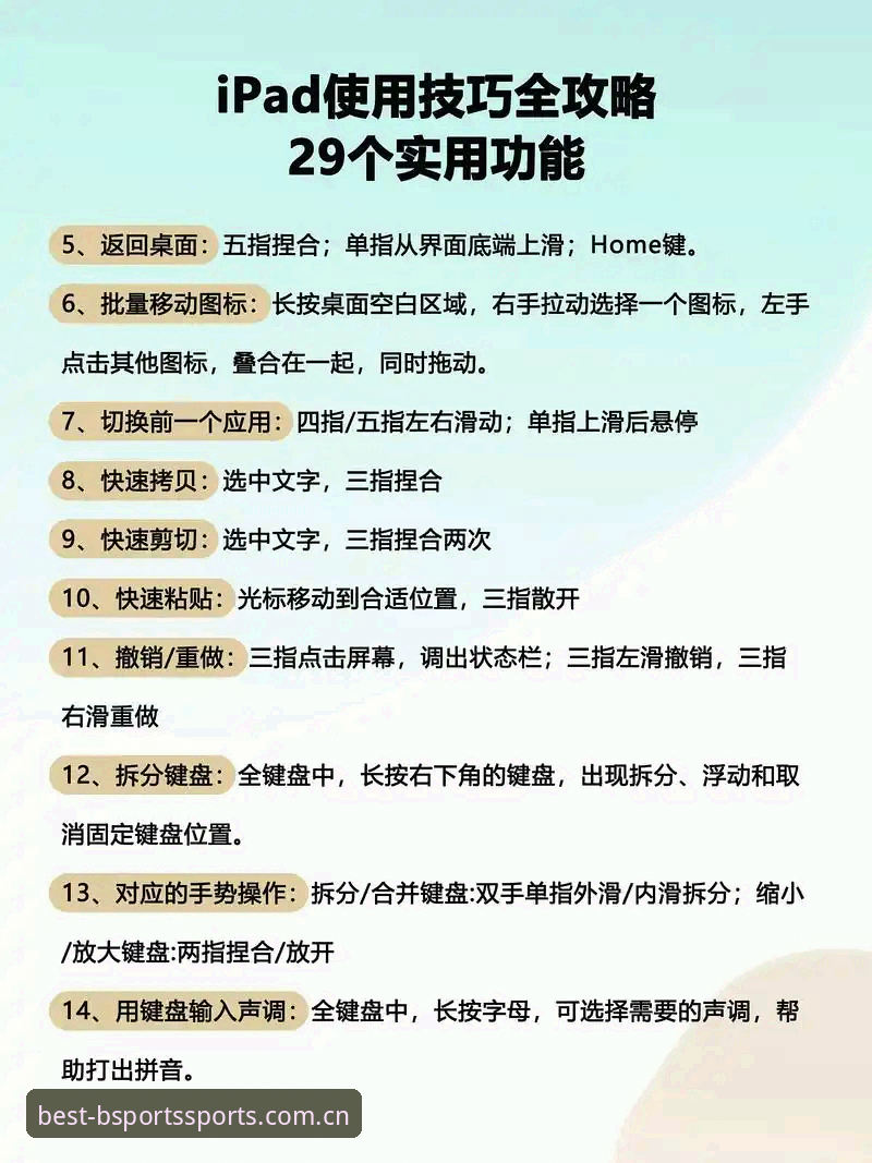 BSPORTS官方网站使用技巧全面解析：从入门到精通的实用指南